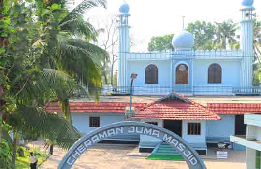 Ayurvedic healthcare hospital in kochi