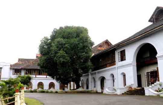 Ayurvedic healthcare hospital in kochi